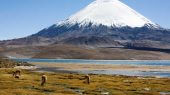 Paisaje natural chileno