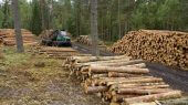 Deforestación Problema