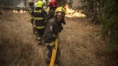 Incendio forestal Chile