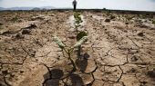 Sequía Sudán