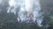 Incendio Forestal Peten