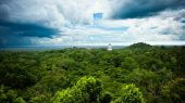 Deforestación en Guatemala