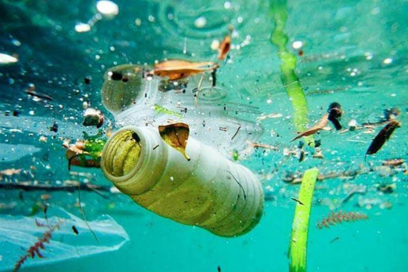 Estudio revela que la producción plástica ha aumentado desde 1950 y continuará acumulándose en el océano a un ritmo cada vez mayor.