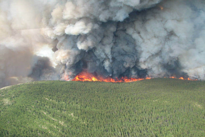 Las llamas han consumido 1.2 millones de hectáreas de bosques y pastizales, convirtiéndose en el segundo peor año registrado.