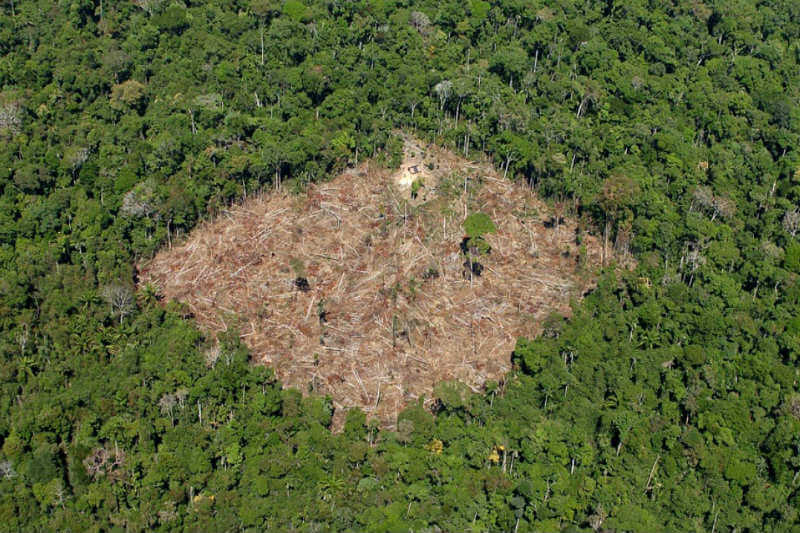 Según un estudio, cerca del 90 % de la deforestación se ha registrado fuera de los espacios mineros habilitados por el Gobierno de Brasil.