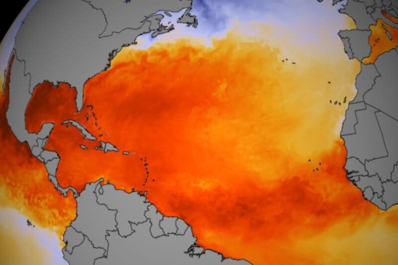 Los océanos son el termómetro del calentamiento global, nos explican cómo nuestras actividades diarias los han afectado.