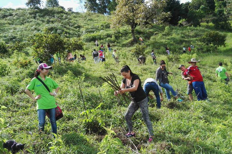 La fundación tiene como propósito darle una nueva vida al río Quindío, en Colombia, al sembrar miles y miles de árboles a su alrededor.