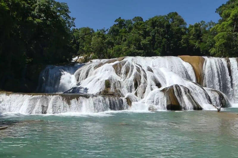 Autoridades de Chiapas registraron un área de deforestación acelerada lo que afecta el caudal del río Xanil y por ende a las cascadas de atractivo turístico.