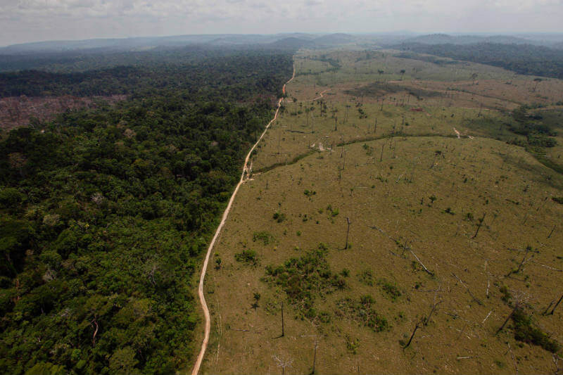 Según datos satelitales: 6,624 km2 de bosques fueron destruidos entre agosto 2016 y julio 2017, en comparación con 7,893 km2 en 2015 y 2016.