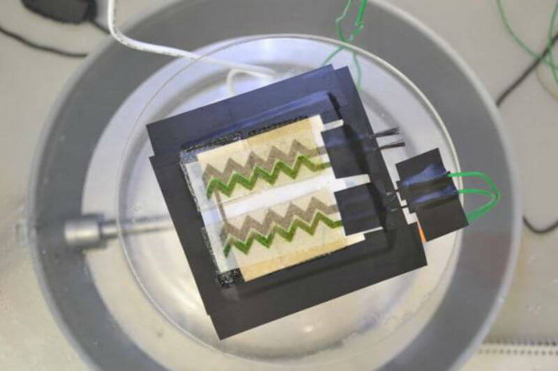 Investigadores demuestran que al imprimir cianobacterias en papel se pueden utilizar para generar electricidad y funcionar como paneles bio-solares.