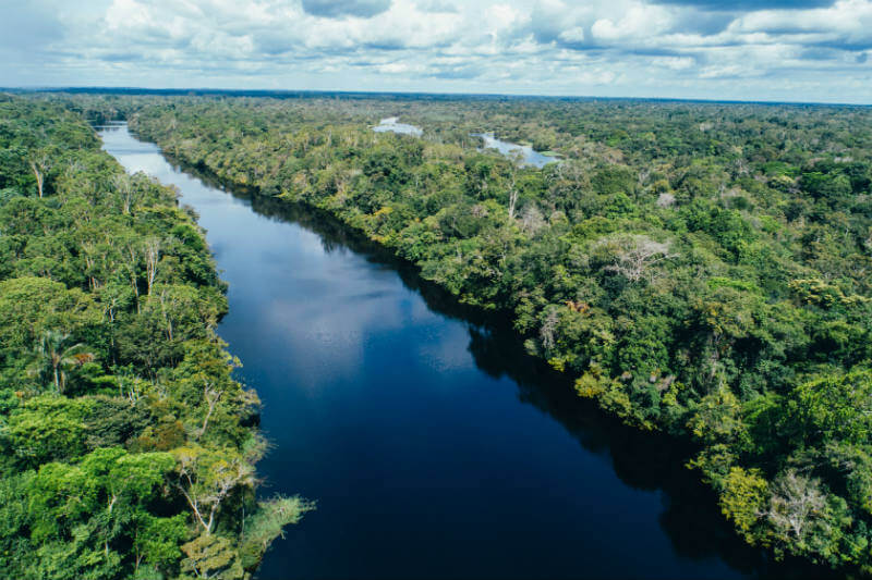 El proyecto de Conservation International tiene como objetivo restaurar 70,000 acres de bosque tropical en varios estados brasileños.