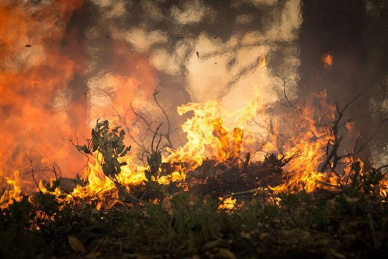Desde el pasado 29 de diciembre se detectaron cerca de diez focos de incendio en la provincia argentina, los cuales han afectado más de 90,000 hectáreas.
