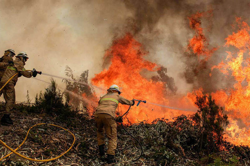 Debido a la sequía y el aumento de las temperaturas, los incendios forestales en el oeste de Estados Unidos podrían remodelar bosques enteros.