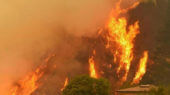 Desde enero pasado, los incendios han consumido un total de 16,623 hectáreas de bosques.