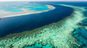 Como parte de un plan de conservación, el gobierno australiano se asociará con la Fundación Great Barrier Reef para controlar la salud del arrecife.