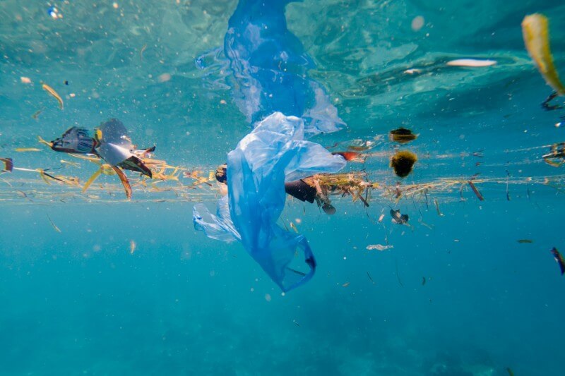 En el Mar de los Sargazos hay una creciente colección de desechos humanos proveniente de los países que bordean el Atlántico