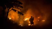 Incendios forestales en Indonesia causan enfermedades en residentes