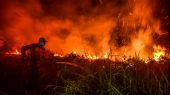 La nube de humo provocada por los devastadores incendios desde hace semanas han empeorado la calidad del aire en la isla de Sumatra. 