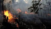 El aumento de los incendios en la Amazonia ha generado una nueva reacción que podría afectar la vacilante economía brasileña