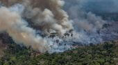 El pronóstico sugiere que la selva podría dejar de producir suficiente lluvia para sostenerse en 2021.