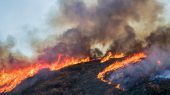 Cuatro comunas se encuentran bajo Alerta Roja por incendios forestales en La Araucanía. Los siniestros se desarrollaron en cercanías a lugares habitados.