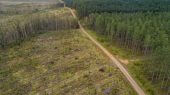 Pueblos indígenas se pronunciaron contra las decisiones de compañías multinacionales por reemplazar los bosques con plantaciones de soja, palma y ganado. 