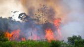 Deforestación en la Amazonía aumenta en marzo