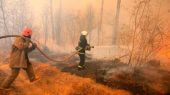 Incendio forestal en Chernobyl logra ser controlado