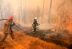 Incendio forestal en Chernobyl logra ser controlado