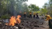 Se registran incendios forestales en Quintana Roo