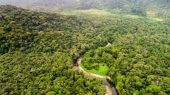 Mitad del planeta como reserva natural