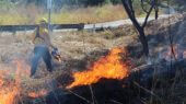 Incendios forestales aumentan en México