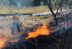 Incendios forestales aumentan en México
