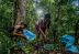 Comunidades en Guatemala protegen mejor los bosques