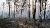 Incendios forestales en el Ártico rompen récord de contaminación