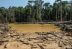 Más de 158 mil hectáreas deforestadas en Colombia
