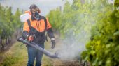 Grandes pesticidas se benefician de los químicos más dañinos para las abejas y los humanos