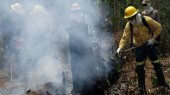 Bolsonaro niega incendios forestales en la Amazonía