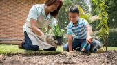 Educación ambiental para nuestros hijos