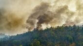 Incendios forestales aumentaron en julio en la Amazonía