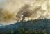 Incendios forestales aumentaron en julio en la Amazonía