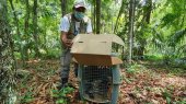 Liberan animales rescatados de tráfico ilegal en Guatemala