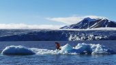 Agua de iceberg embotellada, un lujo contaminante