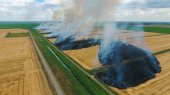 Cuánto afectan las quemas agrícolas al medio ambiente