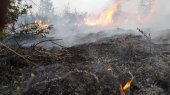 Incendios forestales en Siberia emiten 35% más CO que el 2019