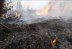 Incendios forestales en Siberia emiten 35% más CO que el 2019