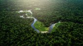 NASA califica la calidad ecológica de los bosques tropicales