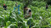 WCK llega a Guatemala para agricultores