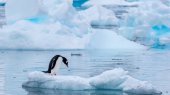 Derretimiento del hielo de la Antártida elevará el nivel del mar 2.5 m