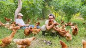 La granja del Mercadito de Lola, un concepto de la agricultura sostenible